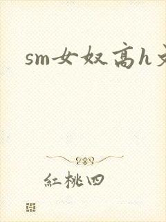 sm女奴高h文封面