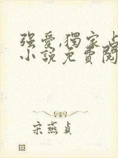 强爱,独家占有小说免费阅读无弹窗