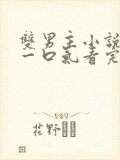双男主小说推文一口气看完甜文