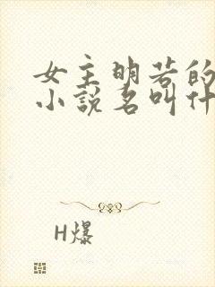 女主明若的穿越小说名叫什么封面