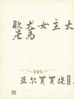 败犬女主太多了老马