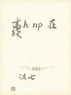 高h np 在线