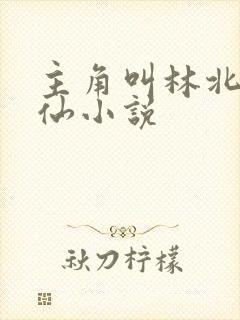主角叫林北的修仙小说