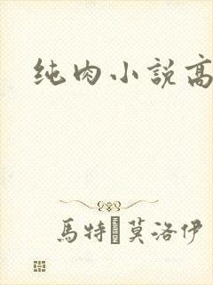 纯肉小说高肉