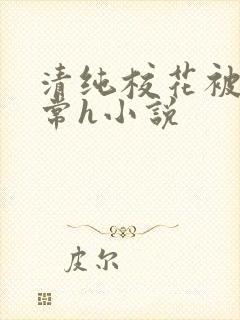 清纯校花被脔日常h小说封面