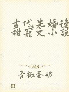古代先婚后爱的甜宠文小说封面
