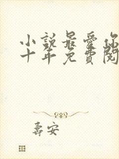 小说最爱你的那十年免费阅读封面