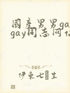 国产男男gaygay同志网站