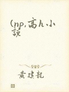 (np,高h小说