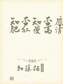 知否知否应是绿肥红瘦高清字幕