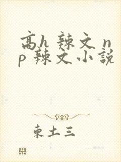 高h 辣文 np 辣文小说