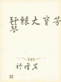 轩辕大宝芳菲雅琴