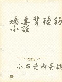 娇妻背后的秘密小说