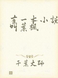 有一本小说主角叫叶枫封面