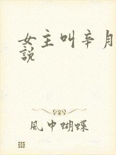 女主叫辛月的小说封面