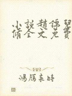 小说赵锦儿秦慕修全文免费阅读免费