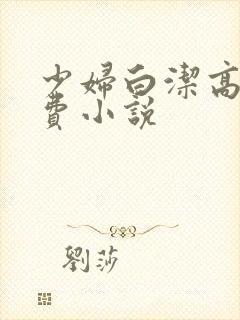 少妇白洁高义免费小说