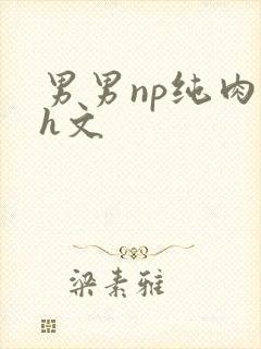 男男np纯肉高h文