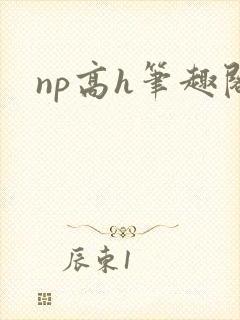 np高h笔趣阁