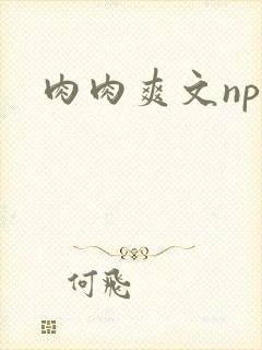 肉肉爽文np