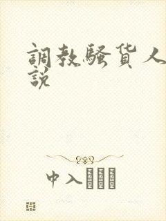 调教骚货人妻小说封面