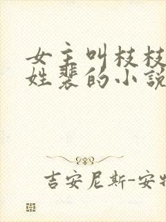 女主叫枝枝男主姓裴的小说封面