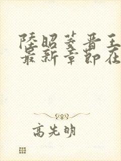 陆昭菱晋王小说最新章节在线阅读封面