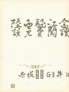 陆西骁江念知小说免费阅读最新章节