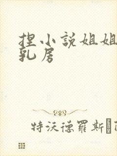 捏小说姐姐的大乳房