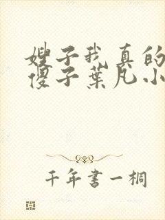 嫂子我真的不是傻子叶凡小说