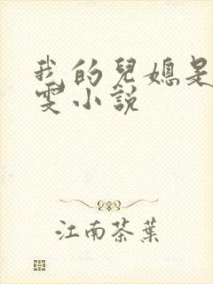 我的儿媳是张晓雯小说