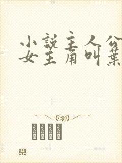 小说主人公林凡女主角叫叶惜