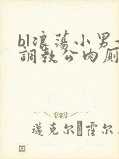 bl浪荡小男娃调教公肉厕