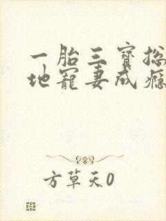 一胎三宝总裁爹地宠妻成瘾阅读