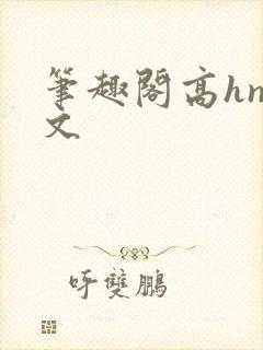 笔趣阁高hnp文