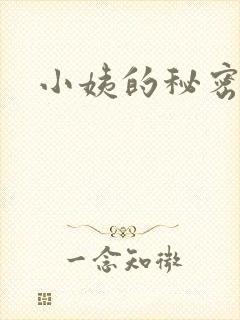 小姨的秘密叶凡