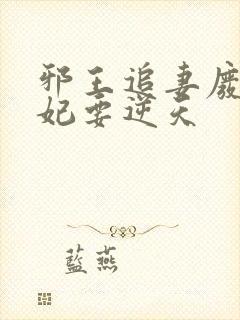 邪王追妻废材狂妃要逆天