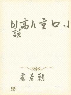 bl高h重口小说