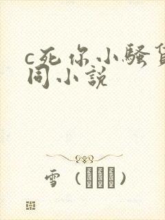 c死你小骚货男同小说封面