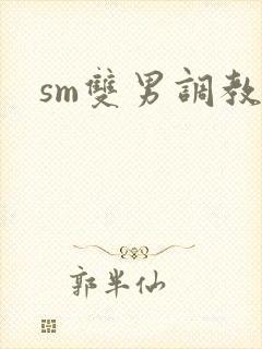 sm双男调教文