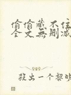 偷偷藏不住小说全文无删减免费阅读