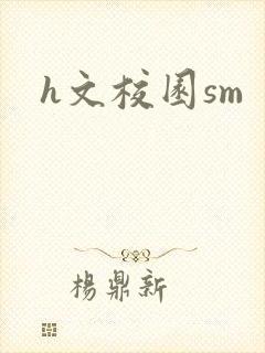 h文校园sm