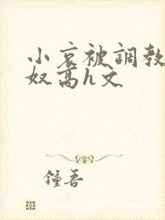 小哀被调教成肉奴高h文