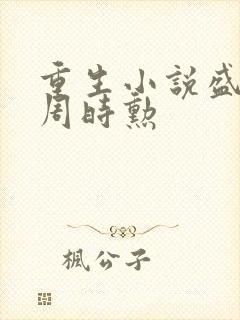 重生小说盛安宁周时勋