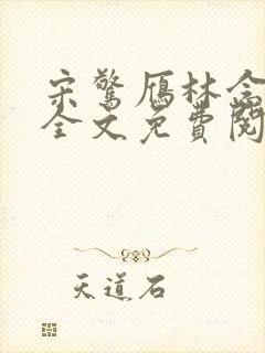 宋惊雁林念小说全文免费阅读封面