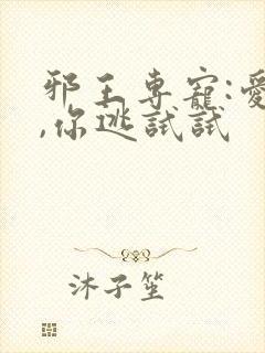 邪王专宠:爱妃,你逃试试