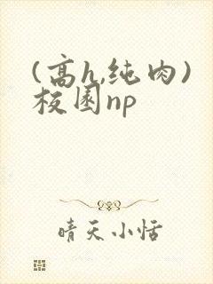 (高h,纯肉)校园np