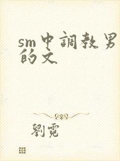 sm中调教男m的文