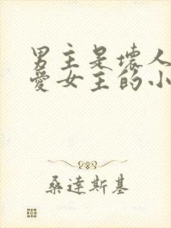 男主是坏人但很爱女主的小说