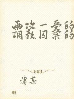 两攻一受的3p调教囚禁的文